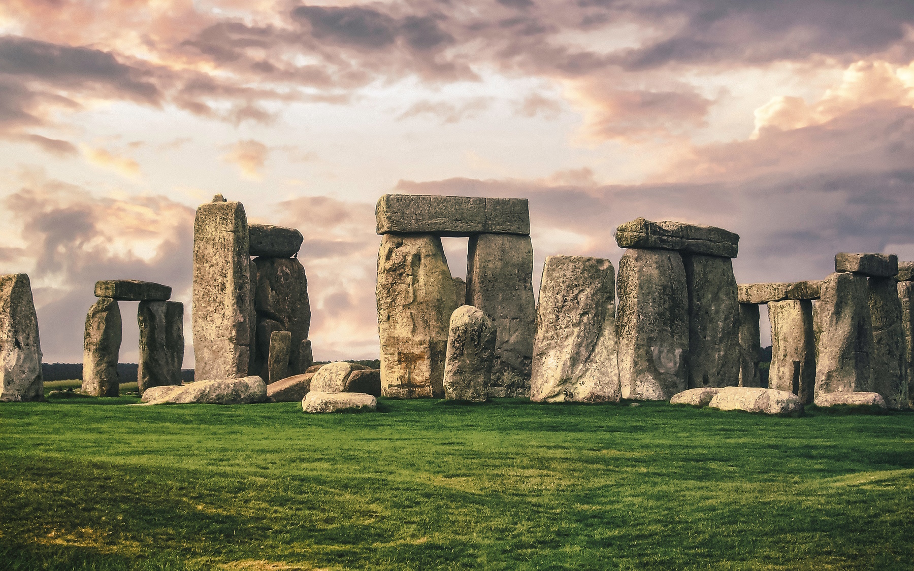 The history of the English language